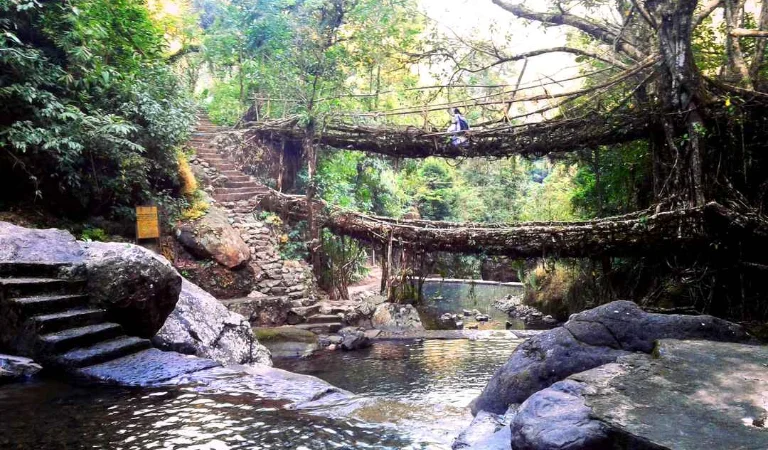 Cherrapunjee Double Decker Living Root Bridge